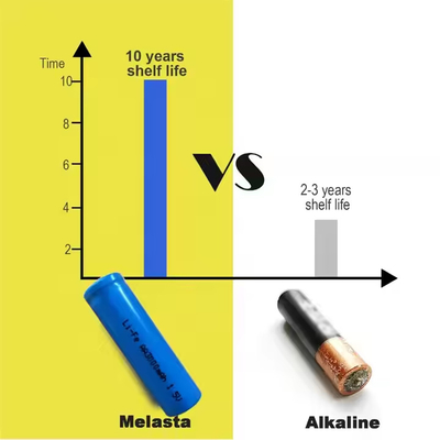 Baterai Lithium Iron Disulfide Li Fes2 Baterai AA FR14505 FR6 1.5V 3000mAh Untuk Mengganti Energizer L91 Baterai Lithium Ultimate